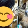 鼻を毛繕いしてくれました^_^