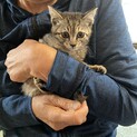 「トライアル決定」むつきちゃん
