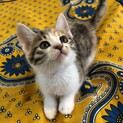よっちゃんは、お転婆さんです