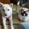 の写真