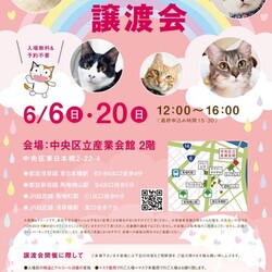 ねこざんまい譲渡会＠東日本橋