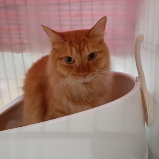 ゆうゆうとゆったり過ごそう♬