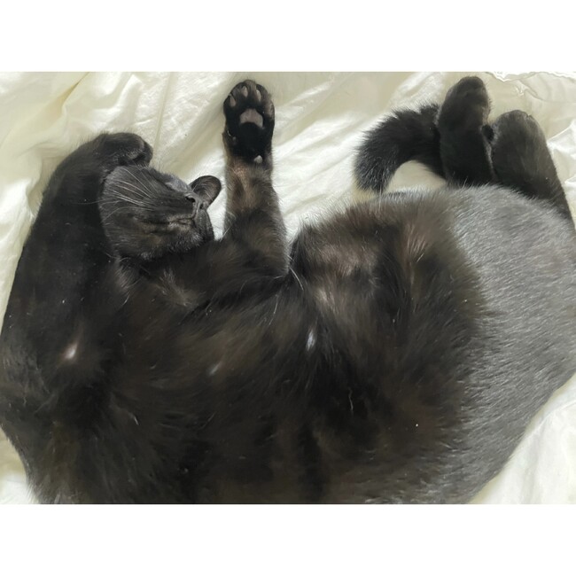 なみんご73のカバー写真