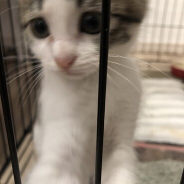 やんちゃ盛りです