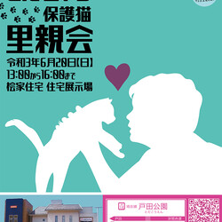 第28回　とだニャン保護猫里親会