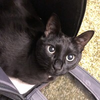 ルナ