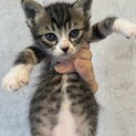 壁に一人ぼっちで挟まってたエウレカちゃん