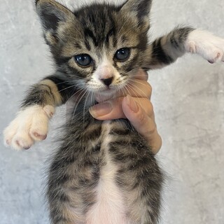 壁に一人ぼっちで挟まってたエウレカちゃん