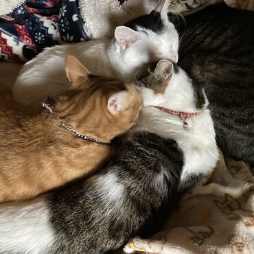 の写真