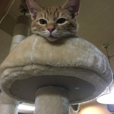 の写真