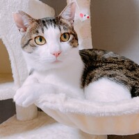 オリバー