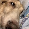 びたみんひなた