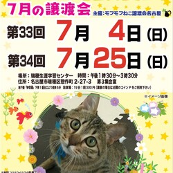 猫の譲渡会　in　名古屋市瑞穂生涯学習センター
