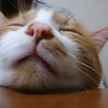 ヨシヒコ