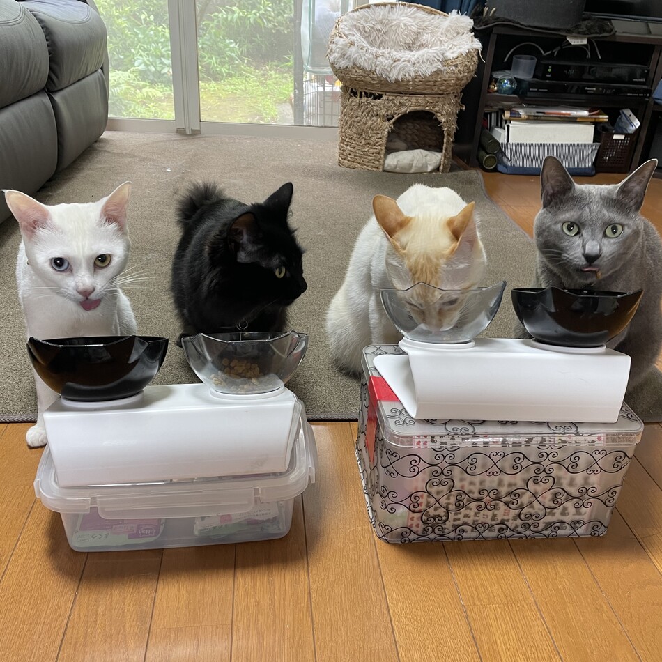 テオのカバー写真