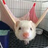 カメラ好きなんで
