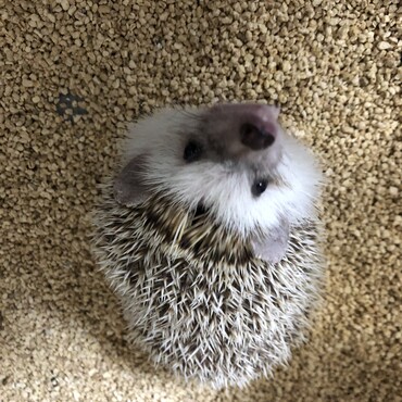 の写真
