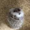 の写真