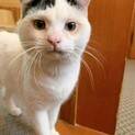 穏やかで人懐っこい男の子