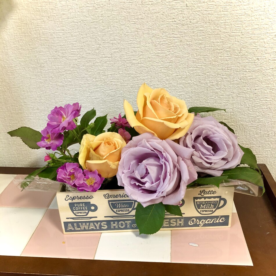 うずのカバー写真