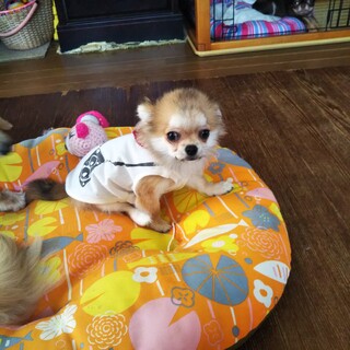 素敵なご縁を頂きました☺️