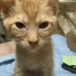 帰って来ました