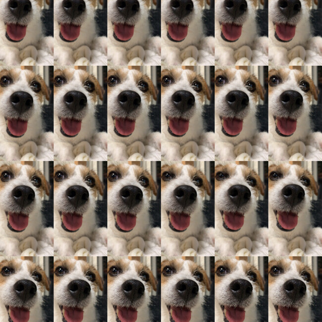 ちくわJRTのカバー写真