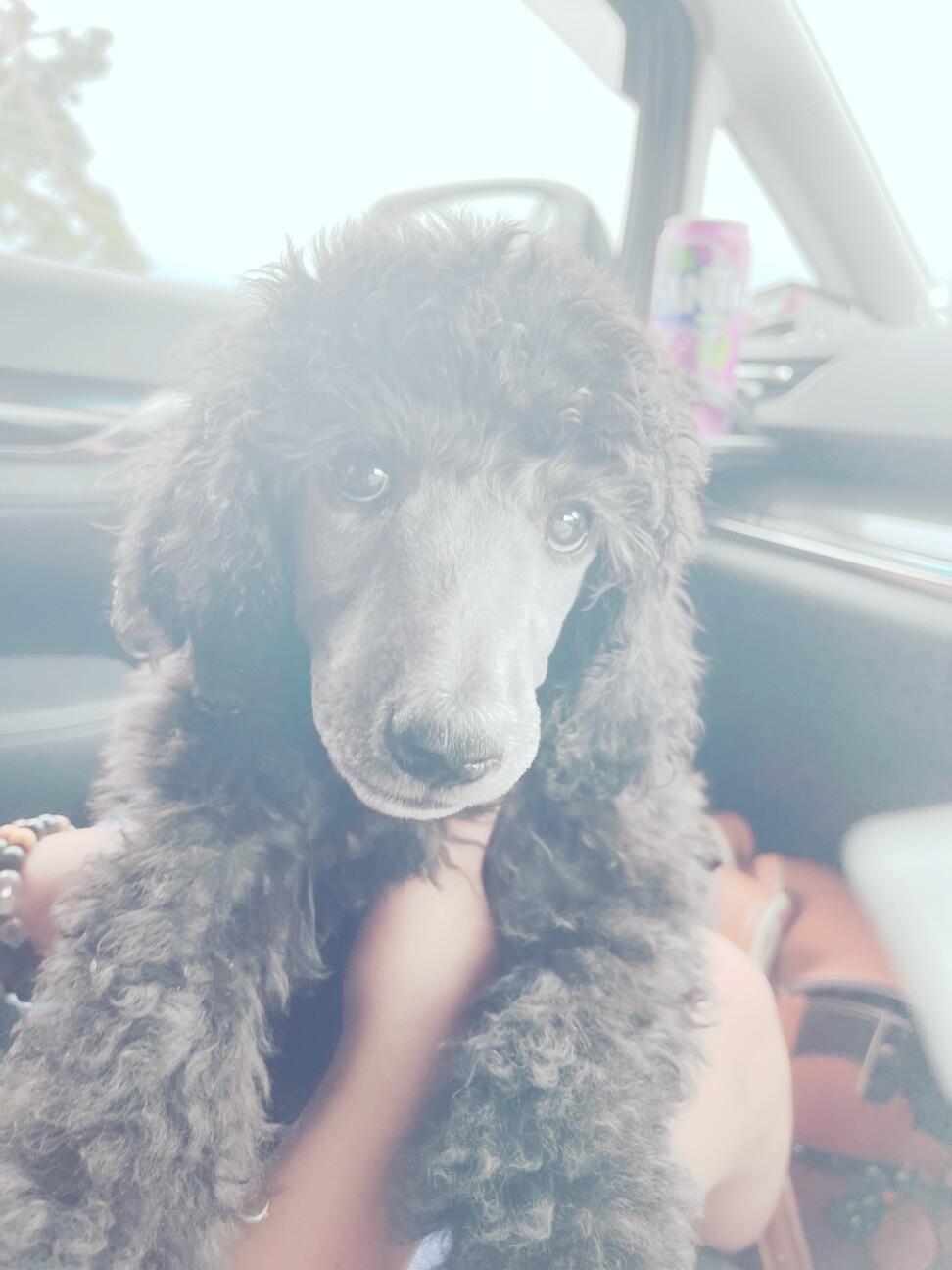 MoKu