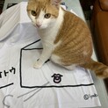 とても可愛い元気っ子