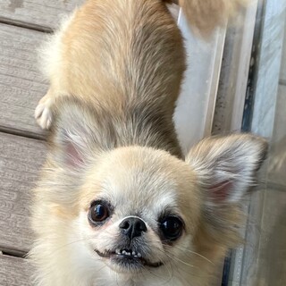 可愛いメイカちゃん♡