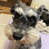 てくのみほ
