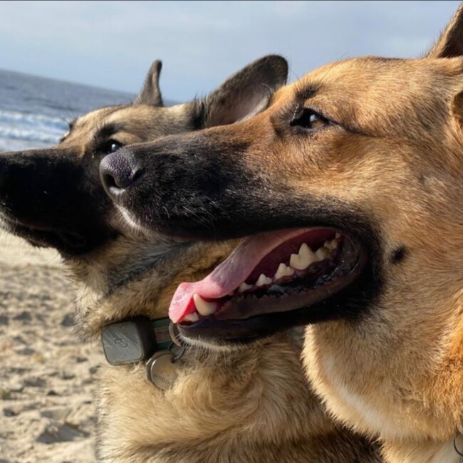 Luci01のカバー写真