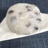 日直さん