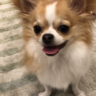 大切にしてくださる方を探しています