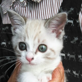 超未熟児でしたが。