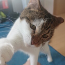 「生後１年２ヶ月」サムネイル2