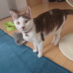 「生後１年２ヶ月」サムネイル3