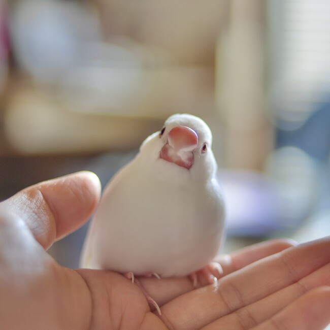 雜賀恵美のカバー写真