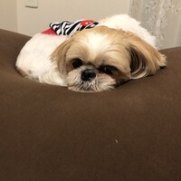 なつ