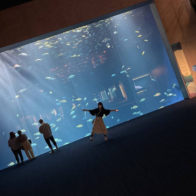 りなちゅう。のカバー写真