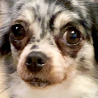 幸せになりました♡ありがとうございました