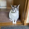 ただのぶさんの孫