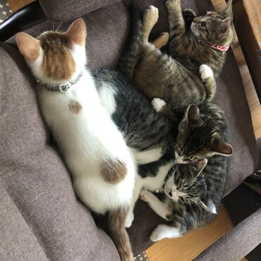 仲良し兄弟です