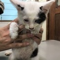 急募！代理掲載です。※募集終了