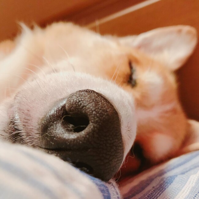 隆志0901のカバー写真