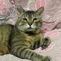 甘々の甘えん坊！穏やかで優しい大吉くん