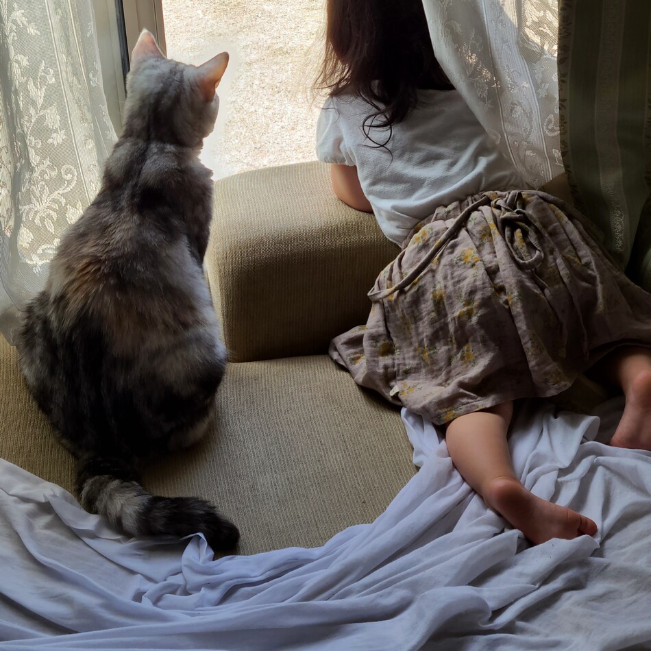 ロゼのカバー写真