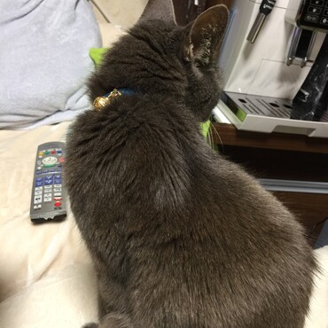 都合の悪いことは聞こえない⁇嘘だ〜聞こえてるから背を向けたよ‼︎