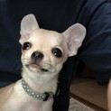 ありがとうございました。