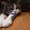 みーたんあかちゃん
